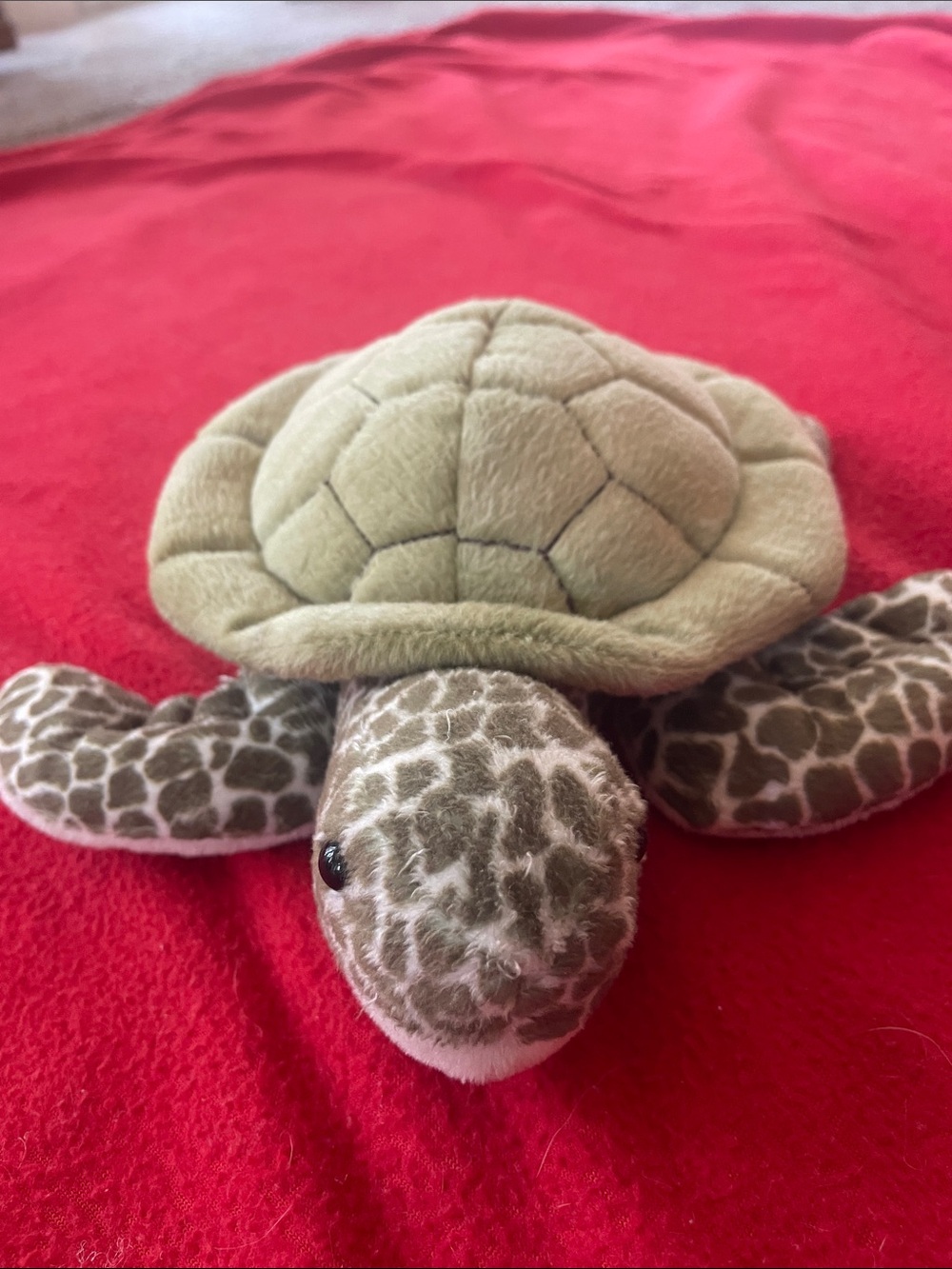 Plush Sea Turtle Pet Toy in Olive Green